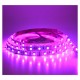 BANDEAU LED RGB 5 M 60 LED/M 72W IP20